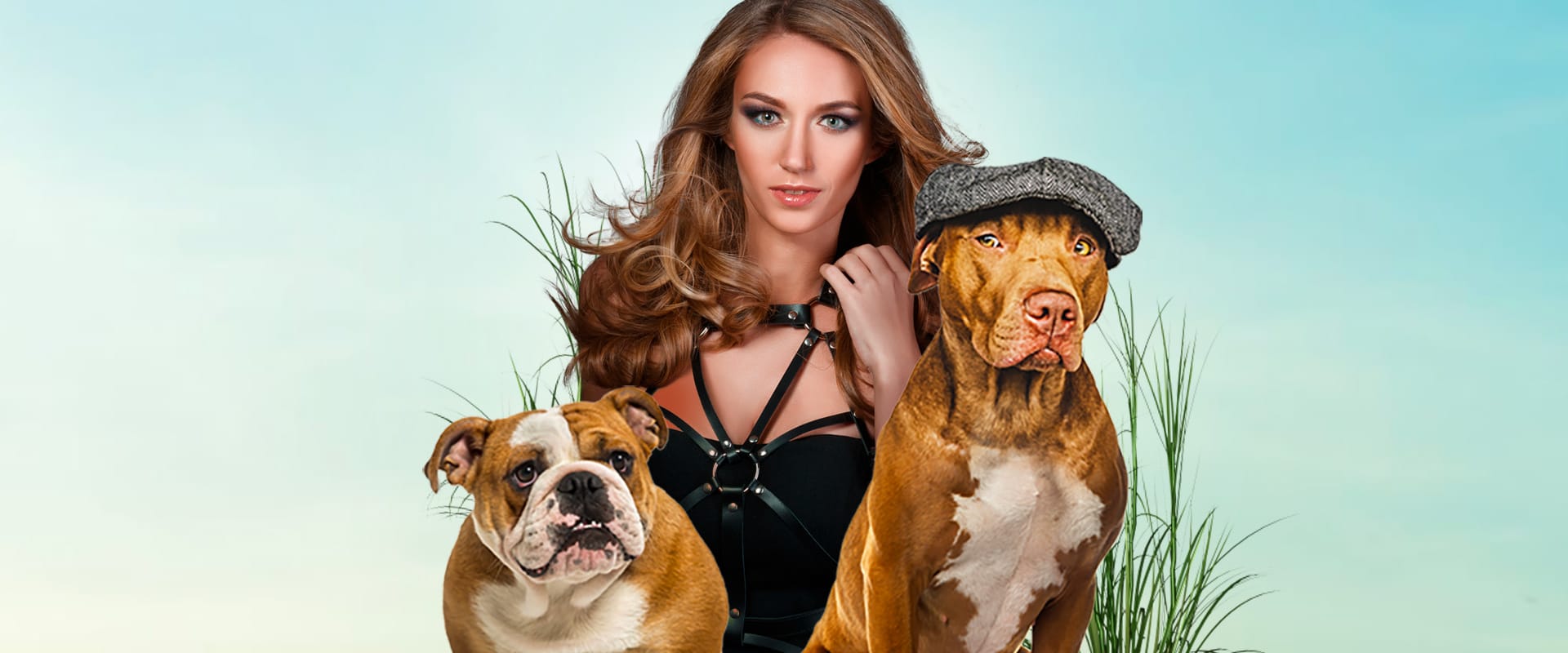 Pitties & Titties 3