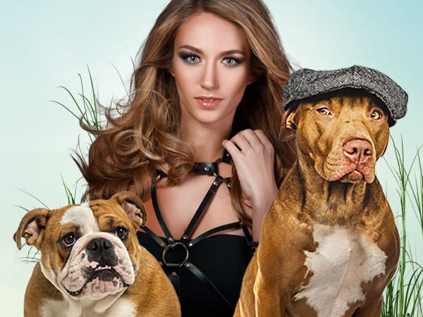 Pitties & Titties 3